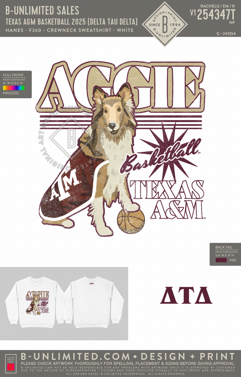 B-Unlimited Sales - Texas A&M Basketball 2025 (Delta Tau Delta) - Hanes - F260 - Sweatshirt - White