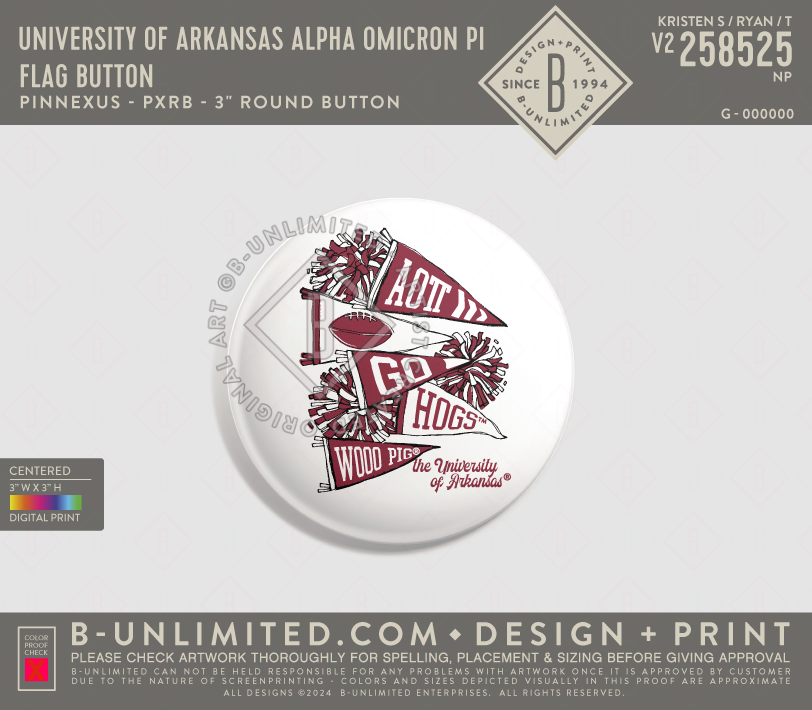 University of Arkansas Alpha Omicron Pi - Flag Button - PinNexus - PXRB - 3" Round Button - Multi