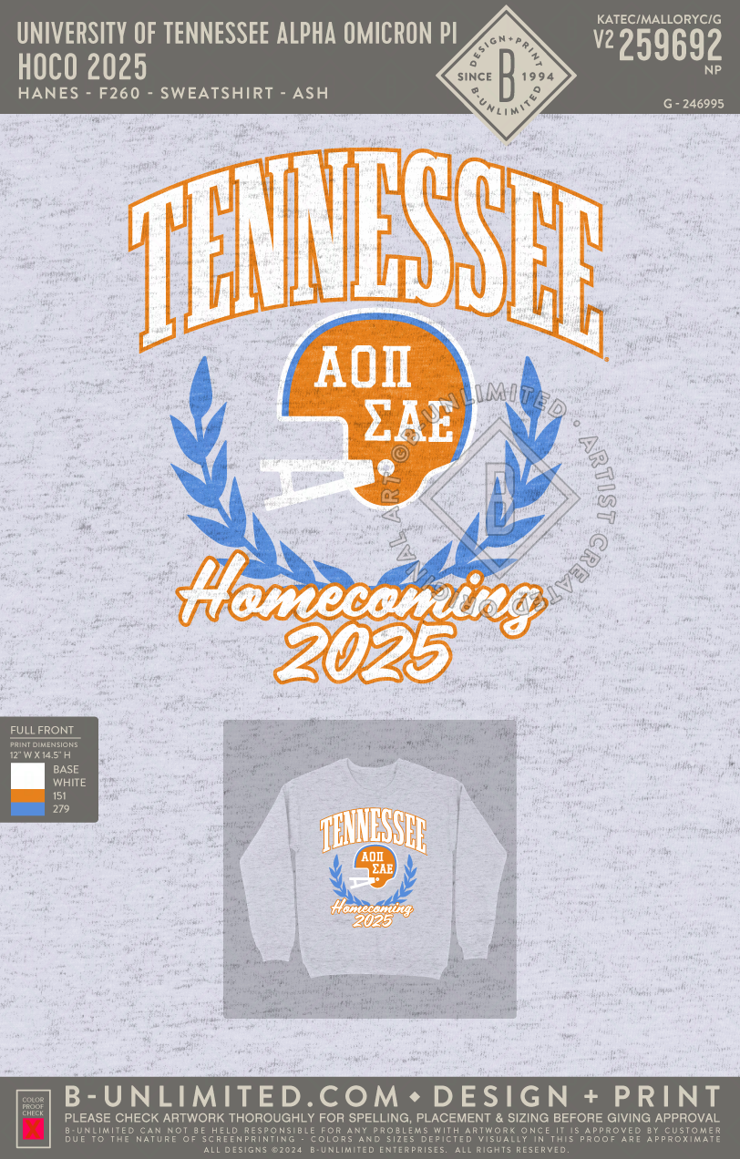 University of Tennessee Alpha Omicron Pi - Hoco 2025 - Hanes - F260 - Sweatshirt - Ash