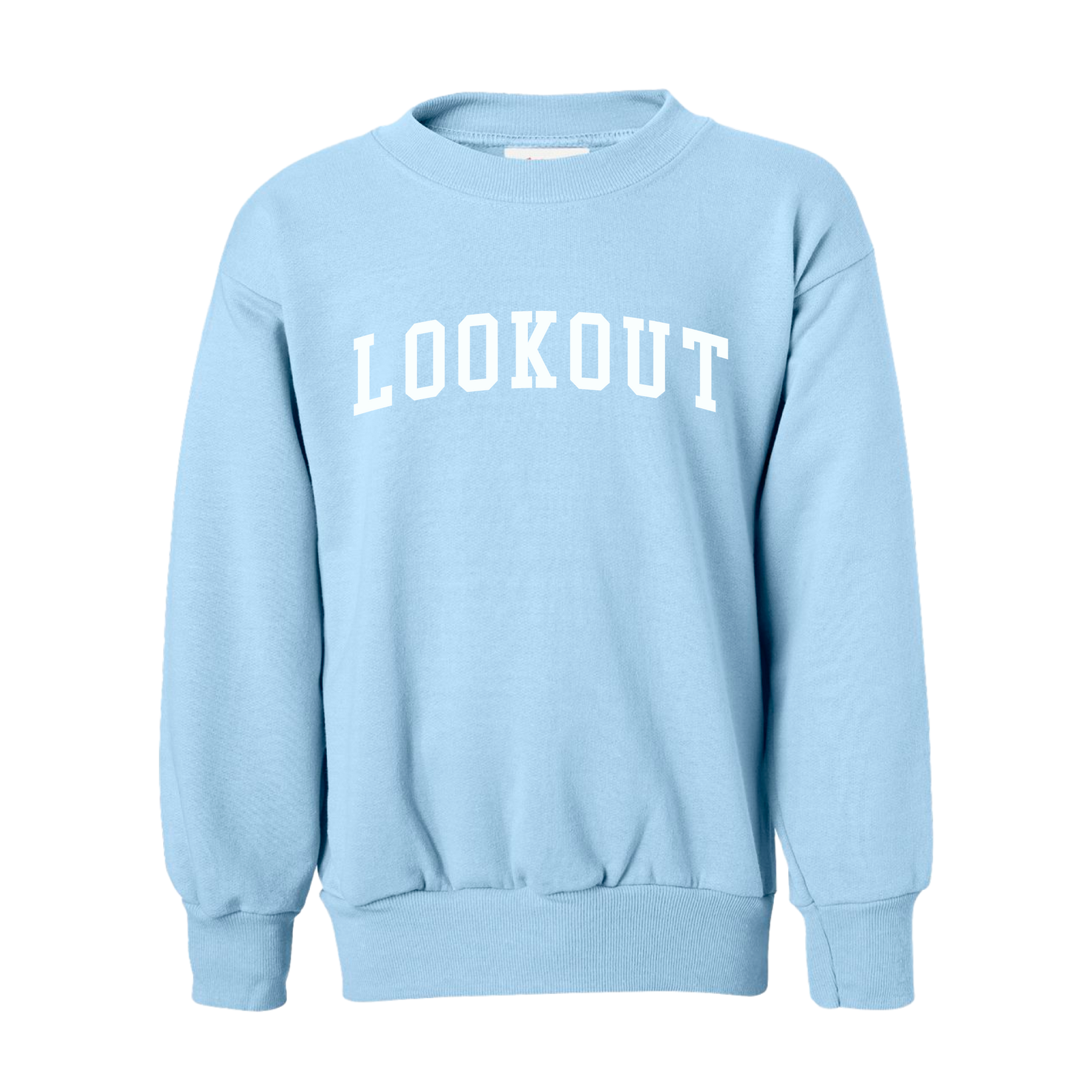 Lookout Mountain School - Youth Crewneck Sweatshirt - Hanes - P360 - Youth Sweatshirt - Light Blue