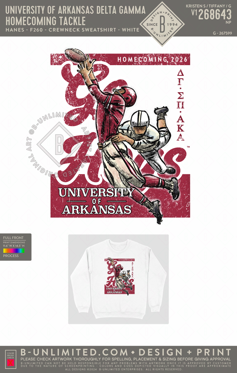 University of Arkansas Delta Gamma - Homecoming Tackle - Hanes - F260 - Sweatshirt - White