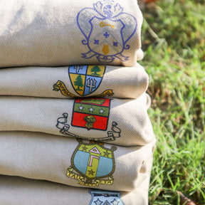 B-Unlimited Greek - Football Champs Tee - Phi Gamma Delta