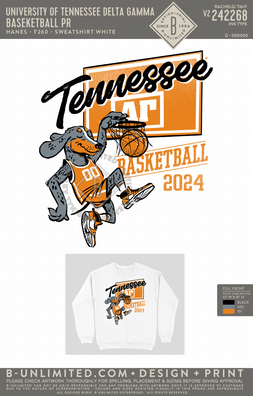 University of Tennessee Delta Gamma - Basketball PR - Hanes - F260 - Sweatshirt - White
